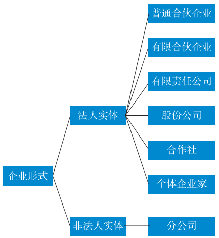 格魯吉亞企業形式